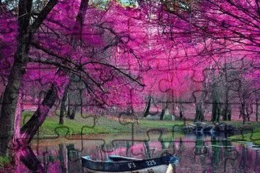 Barco