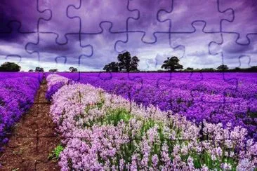 Flores jigsaw puzzle