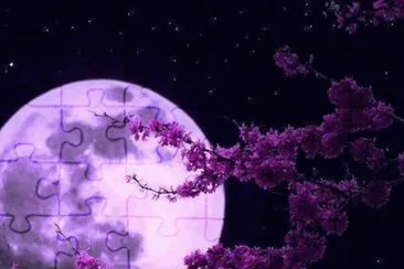Lua jigsaw puzzle