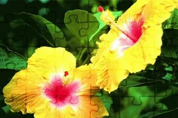 flor jigsaw puzzle