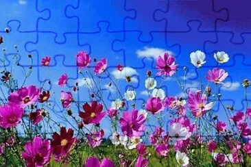 Flores de primavera jigsaw puzzle