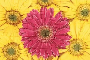 image jigsaw puzzle