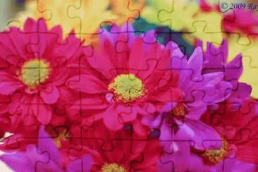 image jigsaw puzzle
