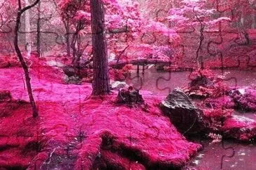 pink again jigsaw puzzle