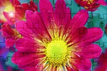 image jigsaw puzzle