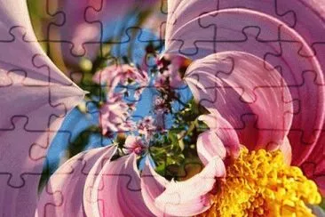 Colors jigsaw puzzle