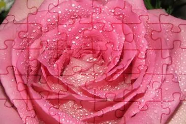 4 jigsaw puzzle