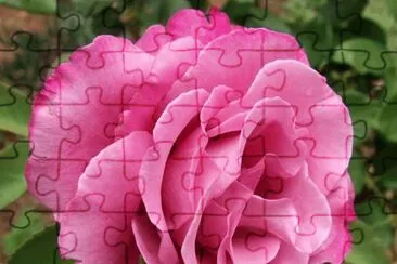 5 jigsaw puzzle