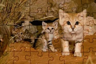 . jigsaw puzzle