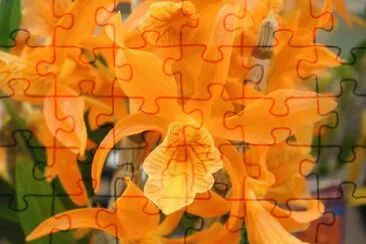 3 jigsaw puzzle