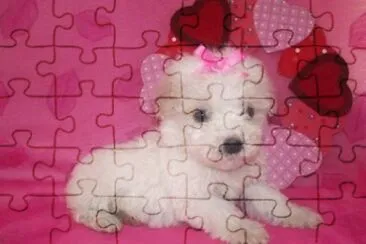 frenshecitos jigsaw puzzle