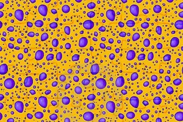 FaraÃ³n jigsaw puzzle