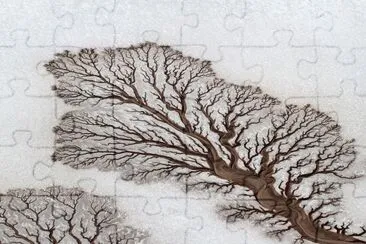 Baja CA desert rivers jigsaw puzzle