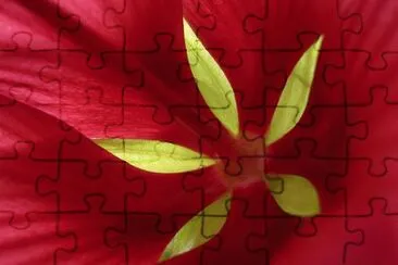 hibiscus jigsaw puzzle