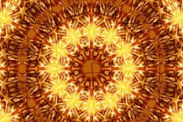 FaraÃ³n