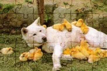 mistaken jigsaw puzzle