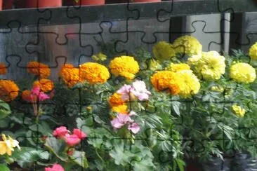 flores