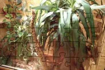 Jeanny jigsaw puzzle