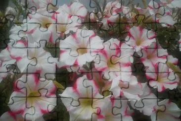 פאזל של Blumen
