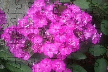 פאזל של Blumen