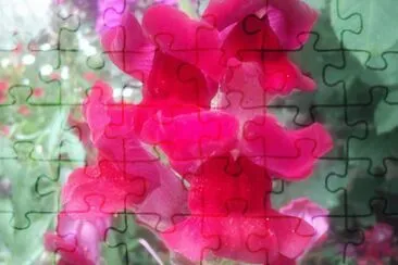 פאזל של Blumen