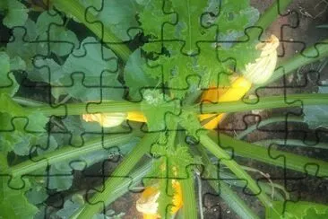 Beet jigsaw puzzle