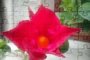 Blumen jigsaw puzzle