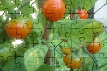 Beet jigsaw puzzle