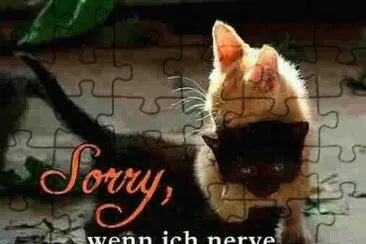 Netzbild