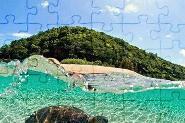 ImÃ¡genes jigsaw puzzle