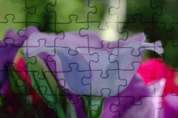 ImÃ¡genes jigsaw puzzle