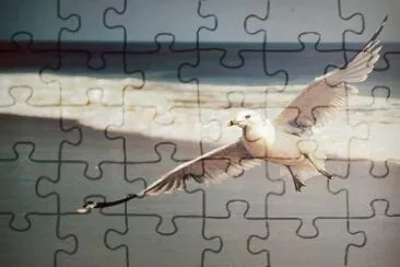 ImÃ¡genes jigsaw puzzle