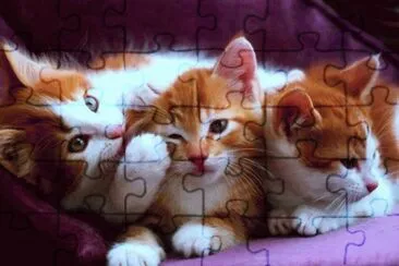 ImÃ¡genes jigsaw puzzle