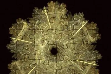 fractal wreath