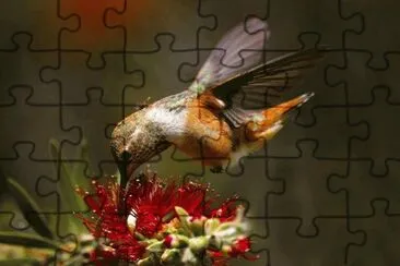451 jigsaw puzzle