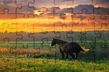 466 jigsaw puzzle