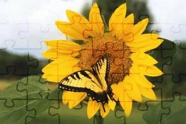 468 jigsaw puzzle