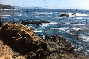 478 jigsaw puzzle