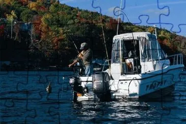 510 jigsaw puzzle