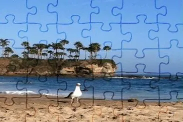 פאזל של 518