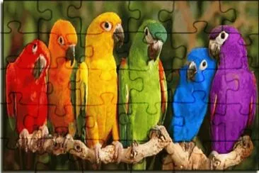 554 jigsaw puzzle