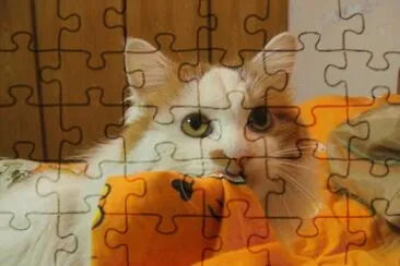 572 jigsaw puzzle