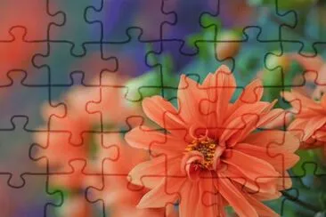 k jigsaw puzzle