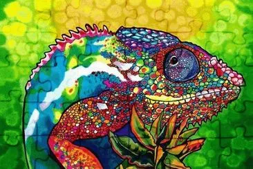 brunalhas jigsaw puzzle