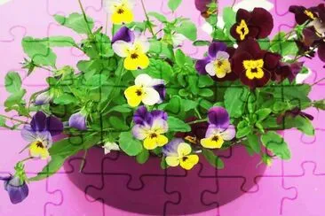 618 jigsaw puzzle
