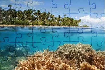 656 jigsaw puzzle