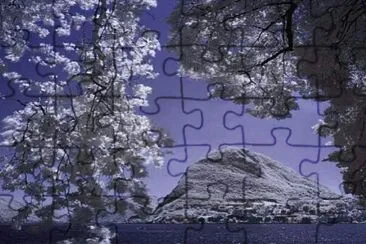 661 jigsaw puzzle