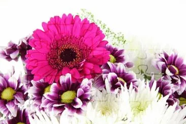Flowers jigsaw puzzle