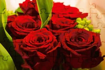 Red Roses jigsaw puzzle