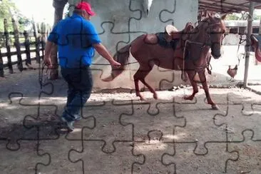 SIBONEY jigsaw puzzle